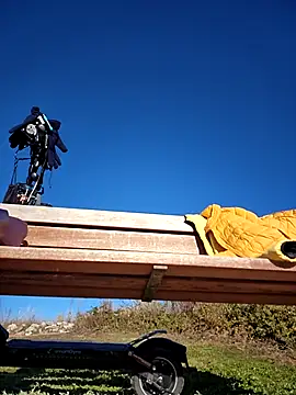 bellapaty online show from 12-03-25, 09:51