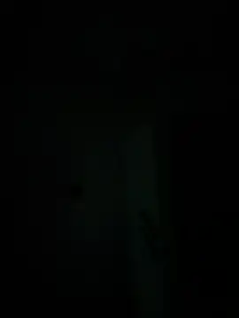 michele1500 online show from 11-30-25, 01:53