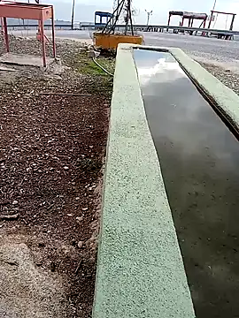 parabellumm online show from 10-03-25, 12:46