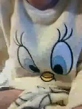 Snapshot of bruna_safadinhaa chatting on 12-30-24, 08:04 bruna safadinhaa online show from 12-30-24, 08:04