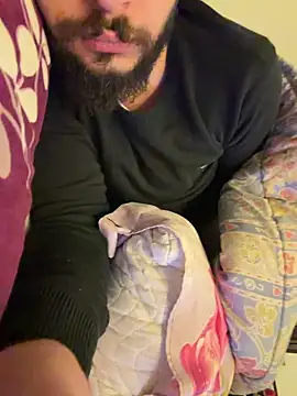 Snapshot of BigEgyptianDiick chatting on 02-11-26, 12:26 BigEgyptianDiick online show from 02-11-26, 12:26