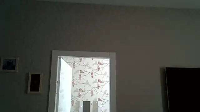 Snapshot of ZarinaSwift chatting on 06-17-26, 09:45 ZarinaSwift online show from 06-17-26, 09:45
