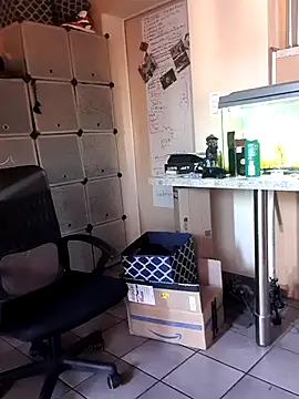 Snapshot of Hippiep chatting on 03-02-25, 01:38 Hippiep online show from 03-02-25, 01:38