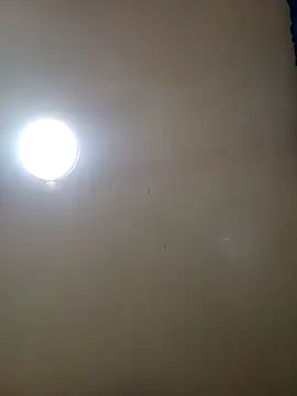 TrainedFinder5 online show from 11-14-25, 11:24