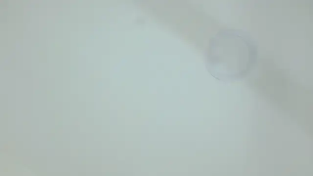 Snapshot of Nicole_aniston11 chatting on 07-07-26, 06:47 Nicole aniston11 online show from 07-07-26, 06:47