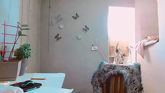 RosaJil online show from 02-12-25, 01:48