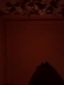 Snapshot of comeonlasys chatting on 01-05-25, 05:41 comeonlasys online show from 01-05-25, 05:41