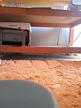 poloplayer123 online show from 02-13-26, 02:02