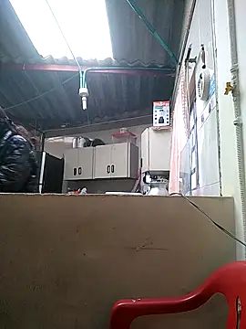 Cameron puppy online show from 03-16-26, 06:12