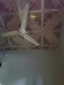 Dil-Ka-Radhika online show from 11-29-25, 01:41