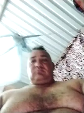 Snapshot of wili_203 chatting on 11-08-25, 01:17 wili 203 online show from 11-08-25, 01:17