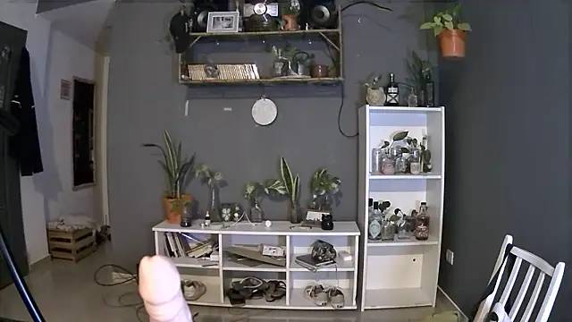 stupid babybird online show from 03-04-25, 01:23