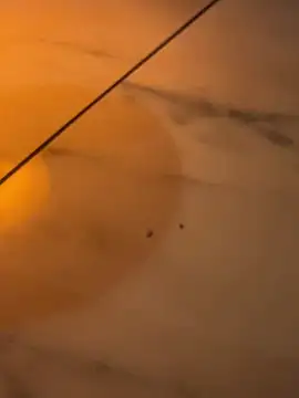 Mia Novikov online show from 03-07-26, 07:05