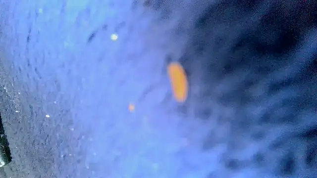 bigcocktat2dude603 online show from 12-06-24, 05:33