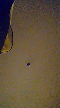 gala2 online show from 02-13-25, 08:06