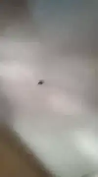 gala2 online show from 03-05-25, 06:01