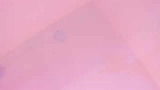 LoveQueen2 online show from 01-06-26, 11:47