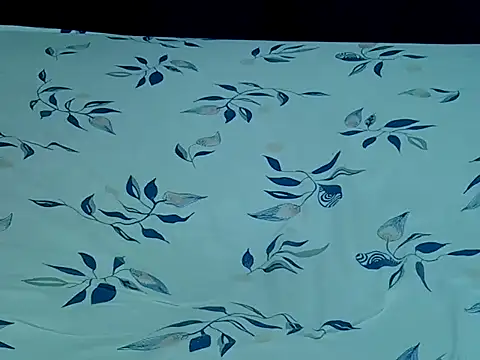 HoneyBun143 online show from 04-11-26, 08:02