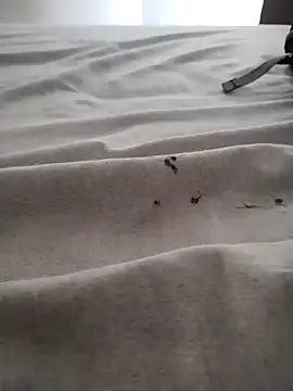 BarbudoSP35 online show from 03-15-25, 01:18