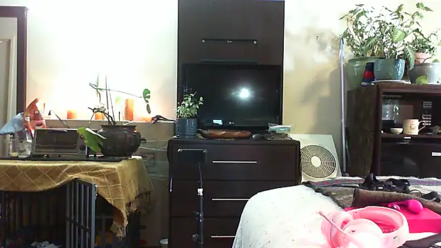 CeceilaMoon online show from 07-14-26, 04:23