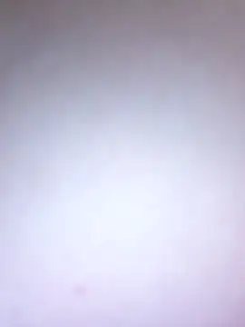 BlackCurly online show from 05-24-26, 07:08