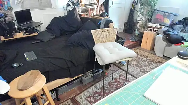 Dark Asteroid online show from 11-16-25, 04:01