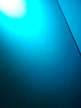 nicedicknicetats online show from 10-31-25, 05:08