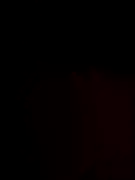 Snapshot of FantasticWonders9 chatting on 11-25-25, 12:21 FantasticWonders9 online show from 11-25-25, 12:21