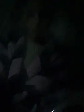 ChantalXOrchid online show from 04-04-26, 10:51