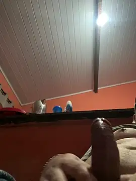 Snapshot of brunogordin69 chatting on 09-25-25, 07:01 brunogordin69 online show from 09-25-25, 07:01