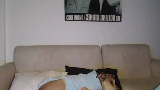 BubbleGumm  online show from 06-18-26, 06:13