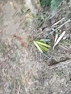 Snapshot of Monster_Bigdick chatting on 01-12-25, 11:07 Monster Bigdick online show from 01-12-25, 11:07