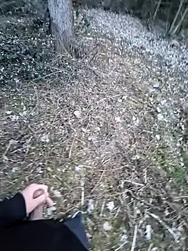 Picknick84 online show from 03-21-25, 05:23