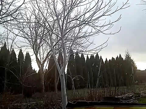 Snapshot of perversalus chatting on 02-02-25, 01:08 perversalus online show from 02-02-25, 01:08