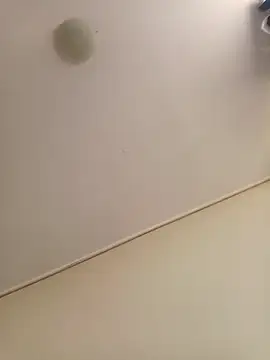 zafka 9 online show from 04-08-26, 04:07