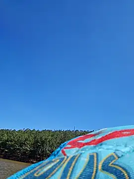 Snapshot of Dixiefaye_Pika chatting on 03-18-25, 08:15 Dixiefaye Pika online show from 03-18-25, 08:15