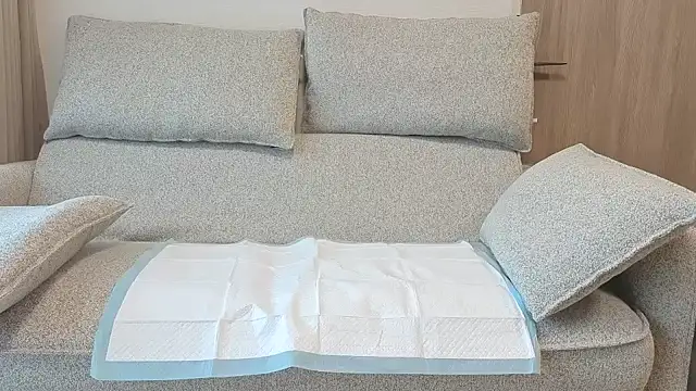 Ema japanese online show from 11-20-25, 06:13