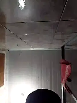 Adee21e online show from 11-17-25, 08:47