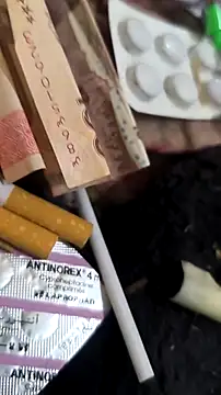 Snapshot of trans511 chatting on 04-11-26, 08:57 trans511 online show from 04-11-26, 08:57