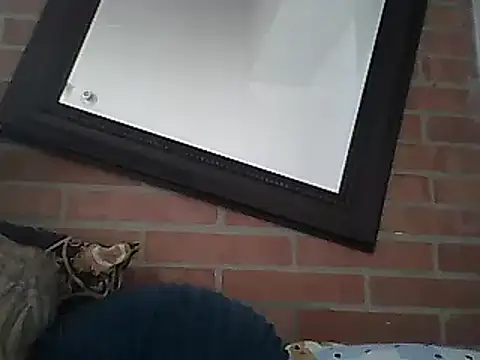 Skater29xx2 online show from 03-15-25, 08:10