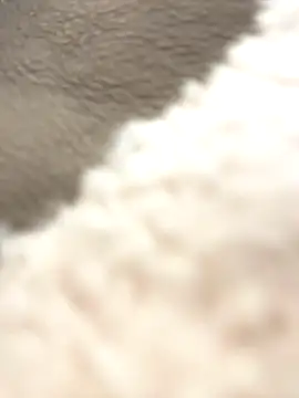 NewLale online show from 10-12-25, 03:38