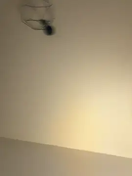 Guitccch online show from 01-17-26, 06:33