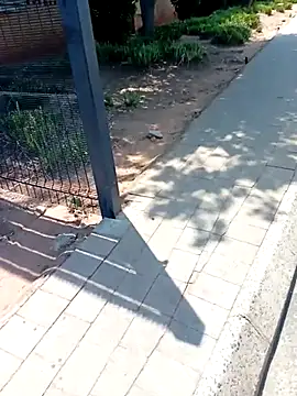 Snapshot of KinkyYours chatting on 10-04-25, 10:24 KinkyYours online show from 10-04-25, 10:24