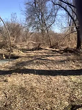 Boysex227 online show from 03-08-25, 08:11