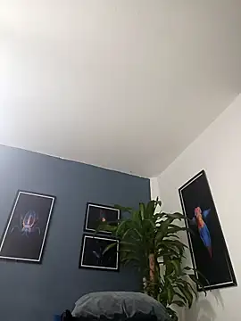 SilvaBranko online show from 12-19-25, 02:07