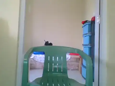 the geisha 2021k online show from 01-27-25, 12:48