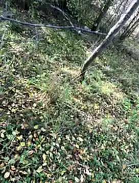 Snapshot of Sirina80 chatting on 10-19-25, 11:55 Sirina80 online show from 10-19-25, 11:55