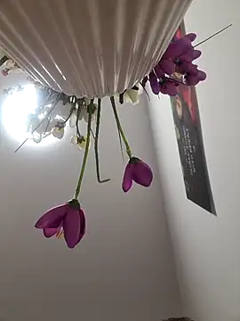 CoupleHot 69 DreamSex online show from 03-06-26, 04:47