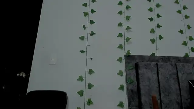 Miaa Garcia online show from 05-15-26, 11:34