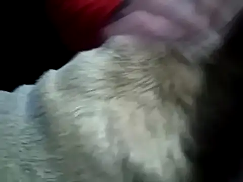 Snapshot of missthickness35_Pika chatting on 01-13-25, 03:45 missthickness35 Pika online show from 01-13-25, 03:45